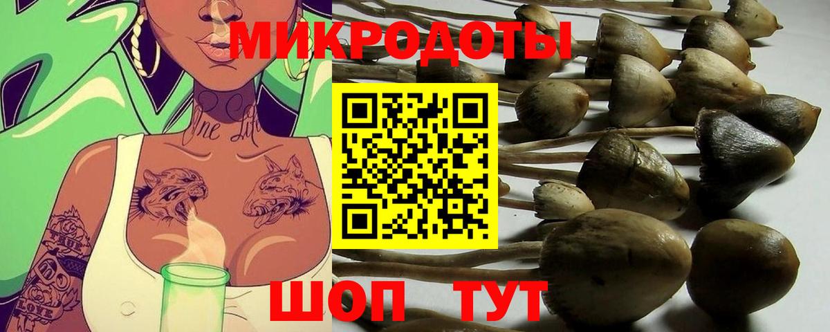 Галлюциногенные грибы MAGIC MUSHROOMS  Вход с VPN  где можно купить   Назарово 